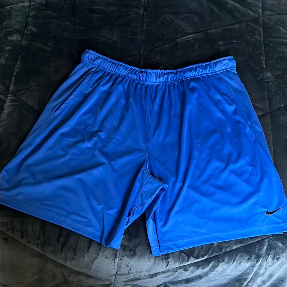 Nike Men's Blue Athletic Shorts